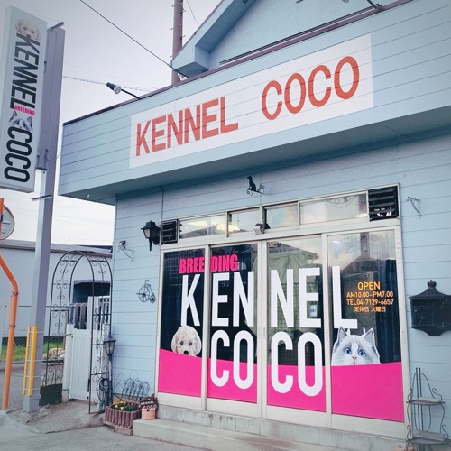 KENNEL COCO 本店 外観