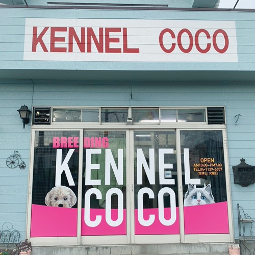 KENNEL COCO 本店 入口