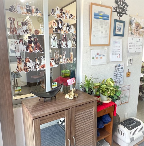 KENNEL COCO トリミング支店の店内